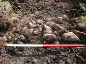 13. Trench 1.JPG
