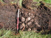 14. Trench 1.JPG