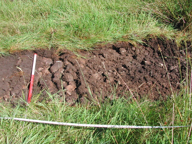 16. Trench 1.JPG