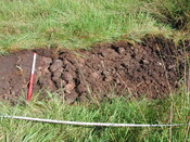 16. Trench 1.JPG