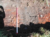 17 Trench 2.JPG