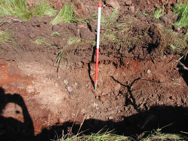 18. Trench 2.JPG