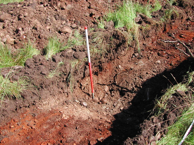 19. Trench 2.JPG