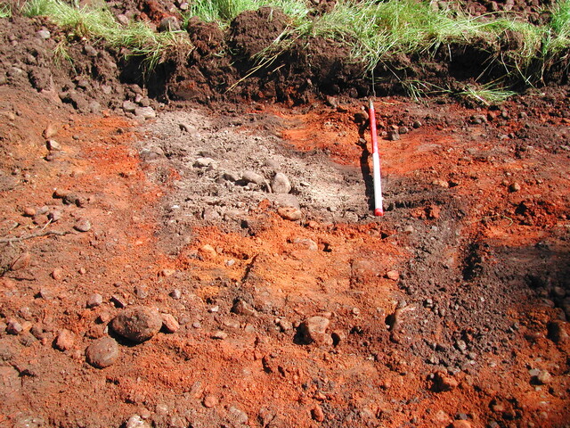 20. Trench 3.JPG