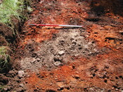 21. Trench 3.JPG