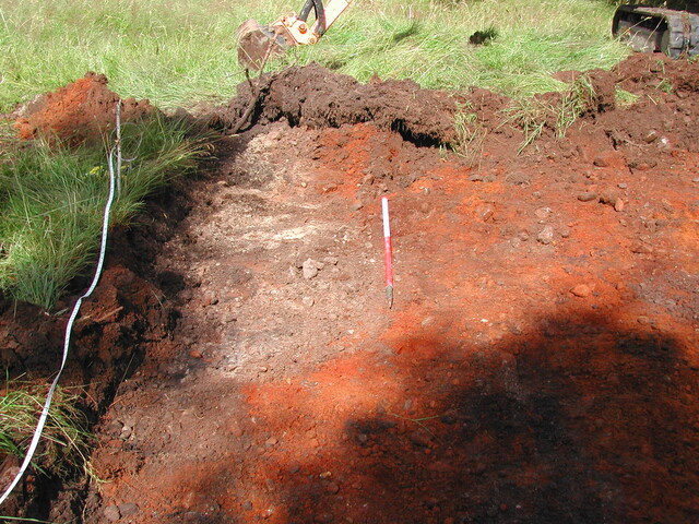 22. Trench 3.JPG