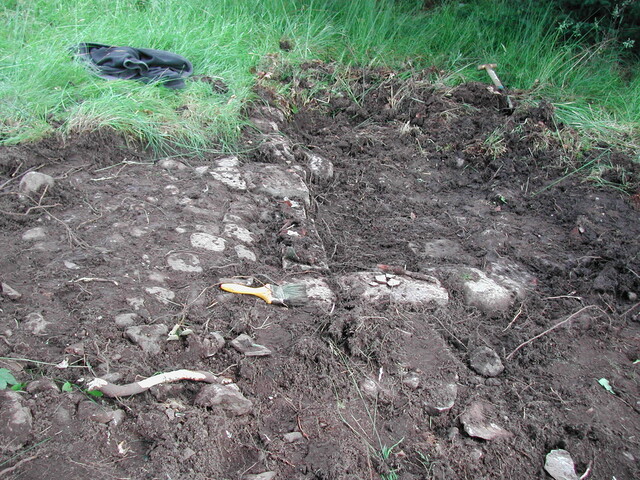 23. Trench 8.JPG