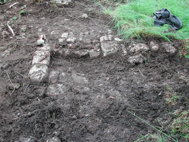 24. Trench 8.JPG