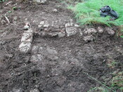 24. Trench 8.JPG