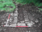 31. TRench 8.JPG