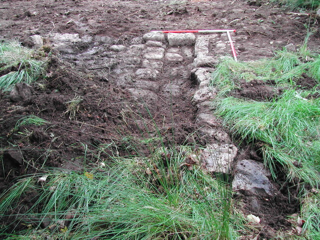 33. Trench 8.JPG