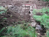 33. Trench 8.JPG
