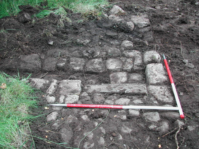 34. Trench 8.JPG