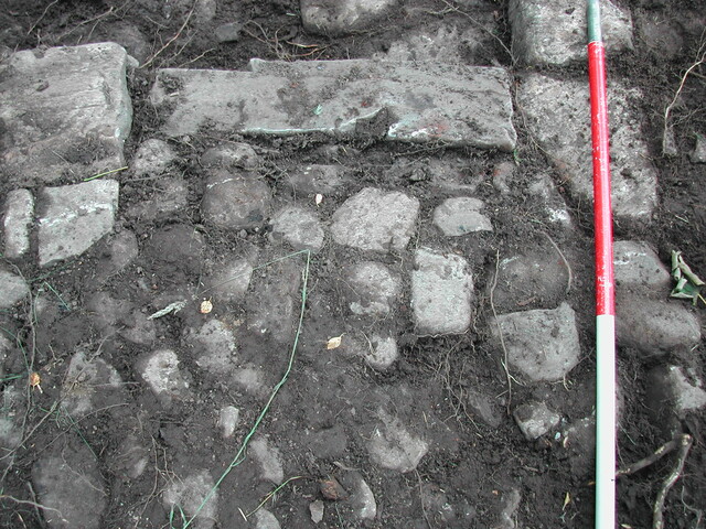 35. Trench 8.JPG
