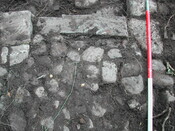 35. Trench 8.JPG