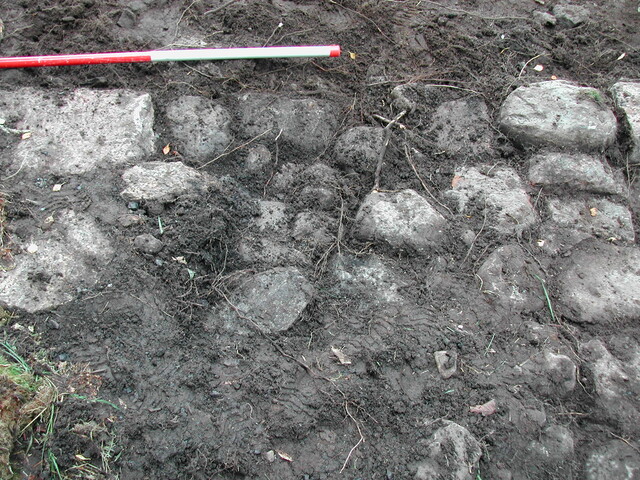37. Trench 8.JPG
