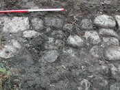 37. Trench 8.JPG