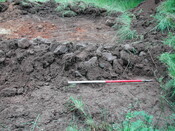 39. Trench 9.JPG