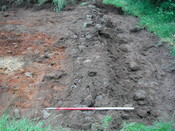 41. Trench 9.JPG