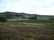 P1020256.JPG