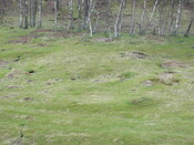 SHG23350_32.JPG