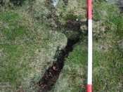 SHG23350_36.JPG