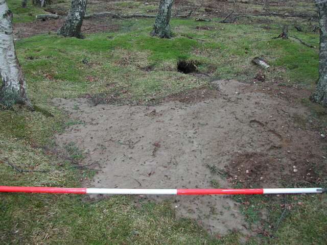SHG23350_37.JPG