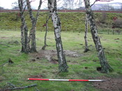 SHG23350_39.JPG