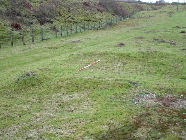 SHG23350_43.JPG