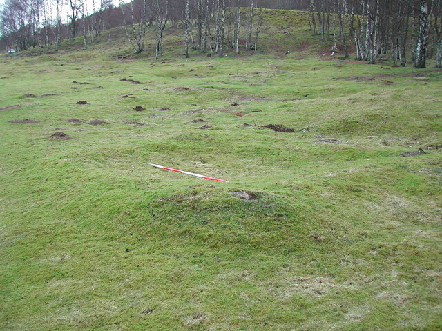 SHG23350_44.JPG