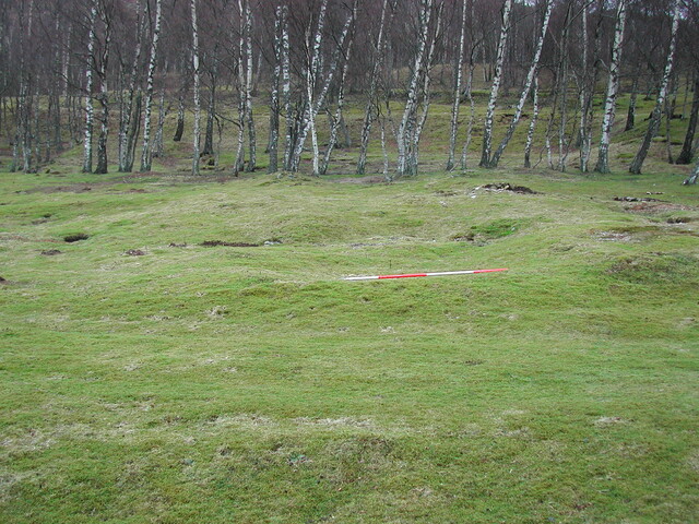 SHG23350_45.JPG
