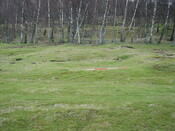 SHG23350_45.JPG