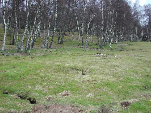 SHG23350_47.JPG