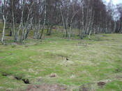 SHG23350_47.JPG