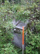 55.JPG