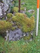 59.JPG
