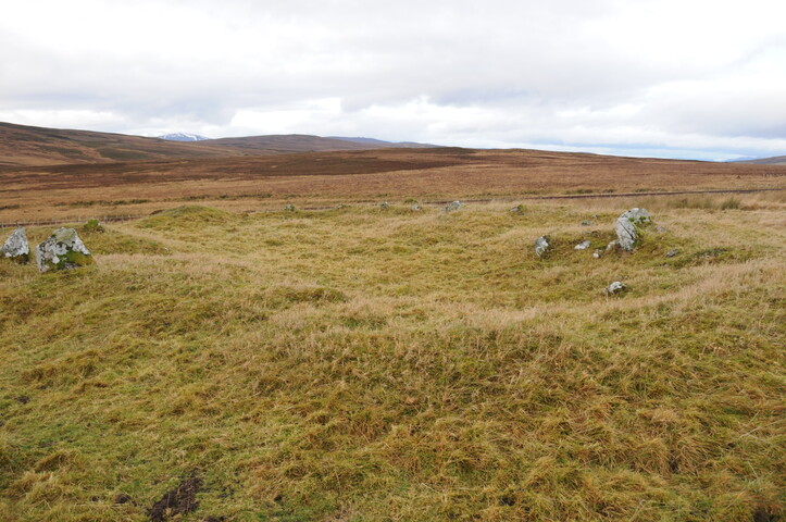 DSC_3061.jpg