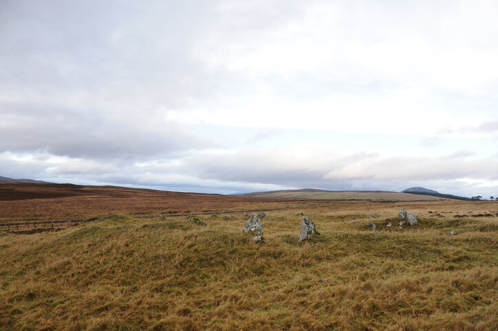 DSC_3062.jpg
