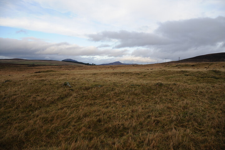 DSC_3064.jpg