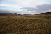 DSC_3064.jpg