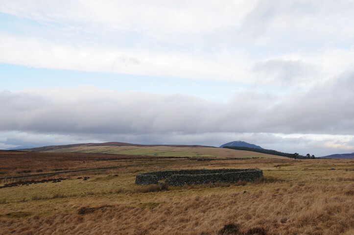 DSC_3043.jpg