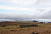 DSC_3043.jpg