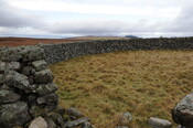 DSC_3046.jpg