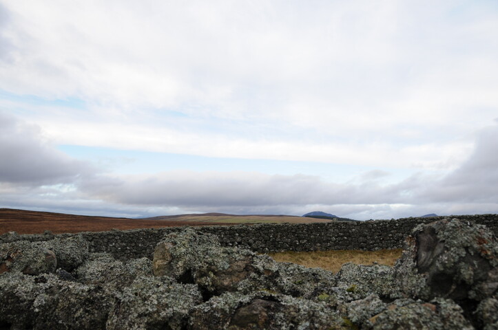 DSC_3047.jpg
