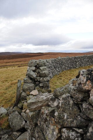 DSC_3051.jpg