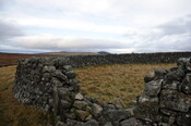 DSC_3060.jpg