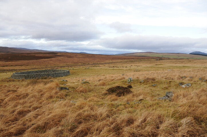 DSC_3068.jpg