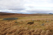 DSC_3068.jpg