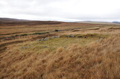 DSC_3040.jpg