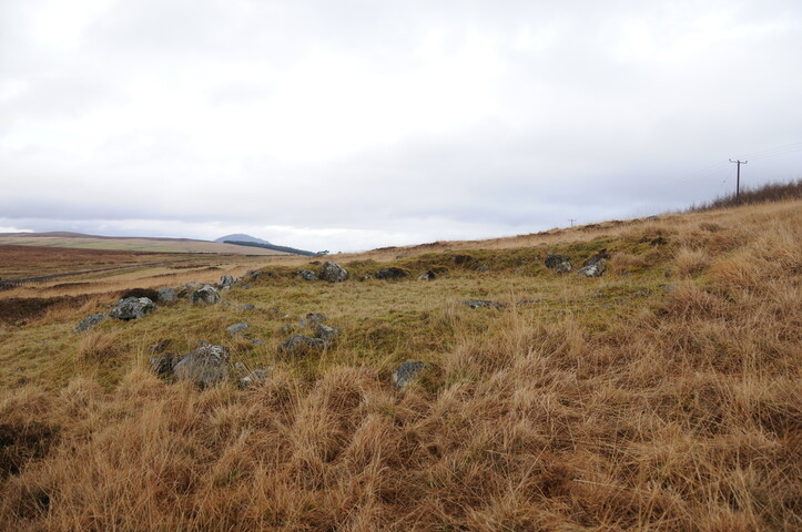 DSC_3041.jpg